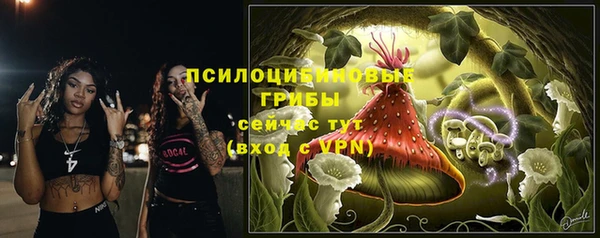 ECSTASY Алексин